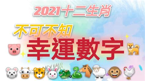 屬豬幸運數字|12生肖「幸運數字」曝光！專家：掌握好一生富貴